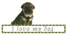 I Love My Dog