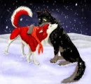 Balto and jenna love