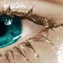 cry
