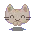 Kitty Cat