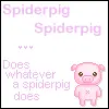Spider Pig!
