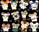 Hamtaro Hamster