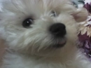 Dont mess with me!