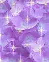 Purple Blue Flowers