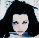 amy lee 