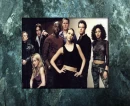 Dark Angel Cast Background