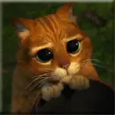 Puss in boots