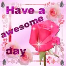 awesome day