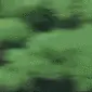 sasuke running