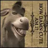 donkey