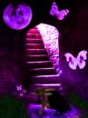 Purple Stairs
