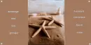 SeaShells
