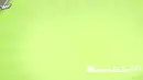 Green Background