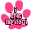 I Love My Dog!