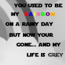 rainbow on a rainy day