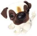 pug