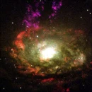 Black Hole