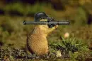 Armed