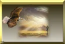 waching eagle