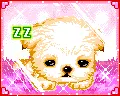 sleepy puppy