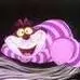 cheshire cat