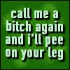 bitch