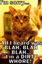 mean kitty