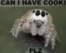 plz?