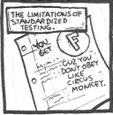 the limitations of standarized testing