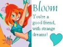 bloom friendship fact