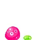 jelly bounce!