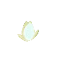 beautiful flowers