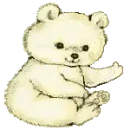 beautiful bears