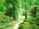 nice backgrounds...!!!