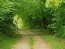 nice backgrounds...!!! country road