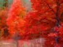 nice backgrounds...!!! autumn