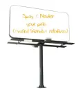 spay & neuter 