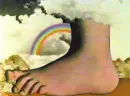 Monty Foot