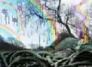 rainbow photo