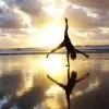 cartwheel