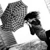 umbrella