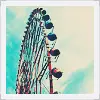 ferris wheel