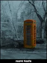 Yellow!!!