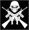 Iron Maiden