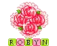 Robyn