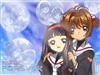 tomoyo