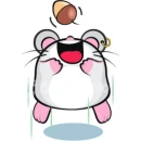 hamster