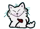 cat wagging tail