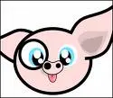 pig