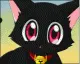 kitty =^.^=